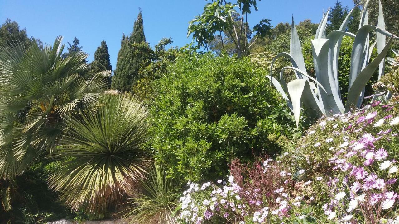 Villa Le Clos Fleuri Ναρμπόν Εξωτερικό φωτογραφία